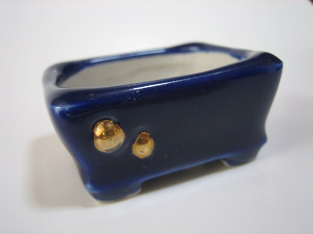 コバルト釉金飛ばし長方直足鉢（正面）